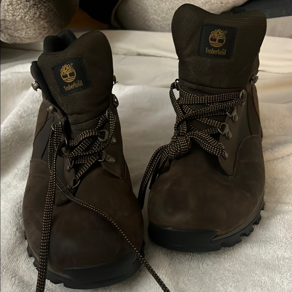 Timberland Men's Brown Hiking Boots